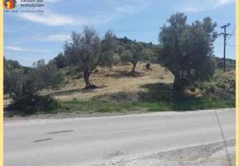 461045-Vorschaubild3