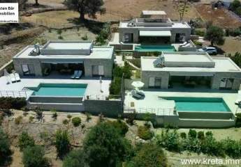 452976-Vorschaubild2