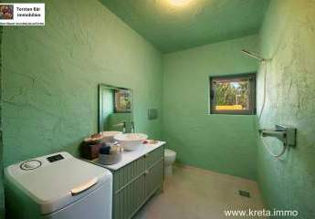 469366-Vorschaubild4