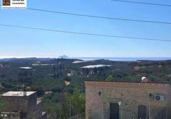 451294-Vorschaubild3