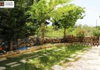 461087-Vorschaubild4