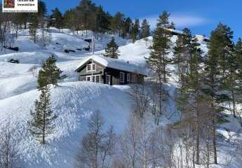 424044-Vorschaubild3