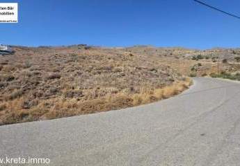 461345-Vorschaubild4