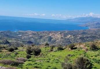 461116-Vorschaubild3