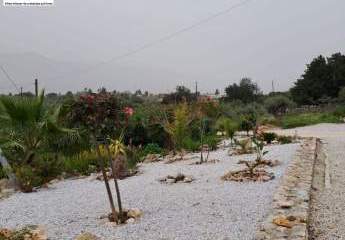 453689-Vorschaubild3