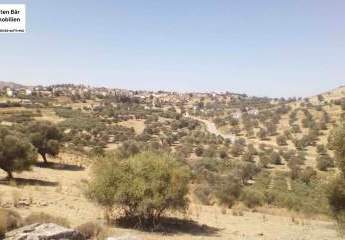 461143-Vorschaubild3