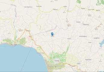 461154-Vorschaubild2