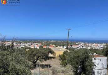 461171-Vorschaubild3