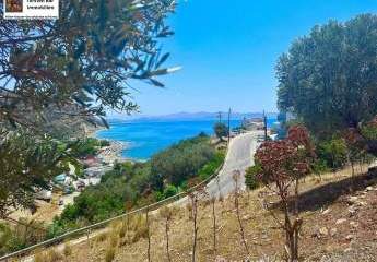 470897-Vorschaubild2