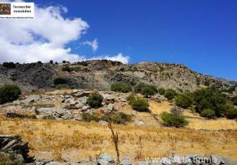 461185-Vorschaubild2