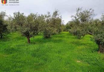 461190-Vorschaubild3