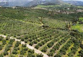 461190-Vorschaubild4