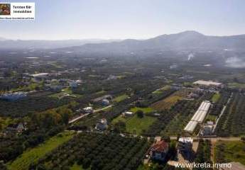 462826-Vorschaubild3