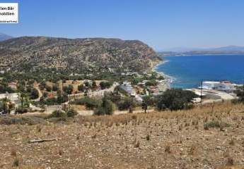 461194-Vorschaubild4