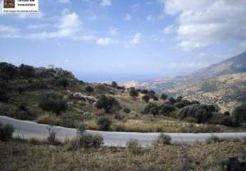 471496-Vorschaubild4