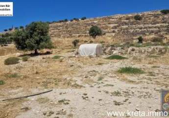 461229-Vorschaubild2