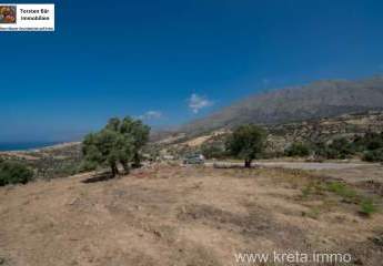 461255-Vorschaubild4