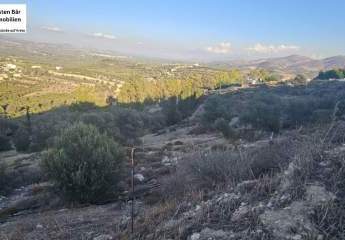 461259-Vorschaubild2