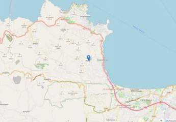 461269-Vorschaubild2