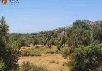 461219-Vorschaubild4