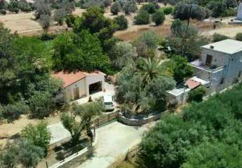 Natursteinhaus in Pitsidia /Kreta  – Harmonie zwischen Tradition, Natur und Lebensfreude