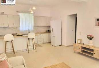 454499-Vorschaubild2