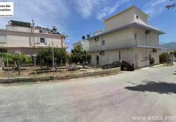 455913-Vorschaubild4