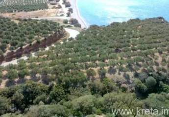 472495-Vorschaubild3