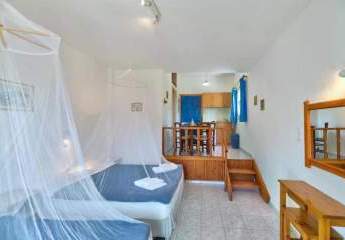 472504-Vorschaubild2