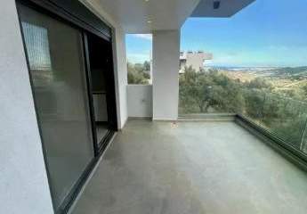 462495-Vorschaubild4