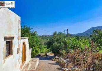 474720-Vorschaubild2