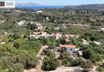 474720-Vorschaubild3