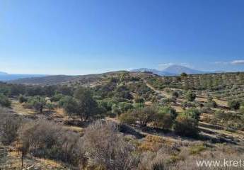 Kreta, Kalamaki Grundstück Meerblick und Blick auf die Palastanlagen von Phaistos