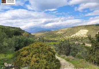 Süd Kreta, Pitsida Baugrundstück mit Meerblick ca.5500m²
