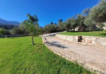 465075-Vorschaubild3