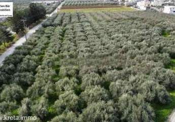 469262-Vorschaubild4