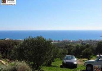 471310-Vorschaubild4