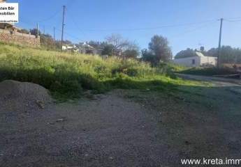 471499-Vorschaubild3