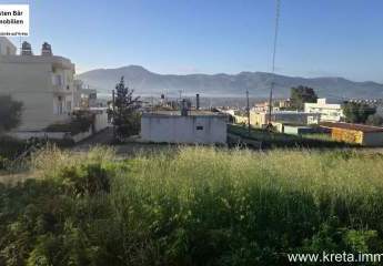 471499-Vorschaubild4