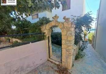 462509-Vorschaubild3