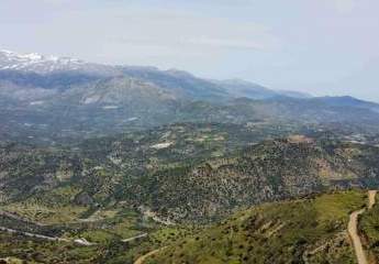 461278-Vorschaubild3