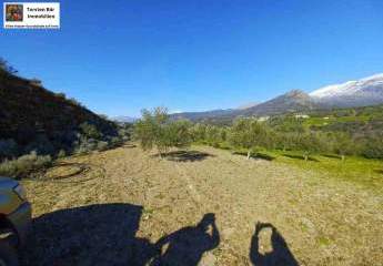 461284-Vorschaubild3