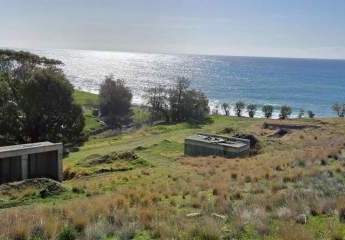 470925-Vorschaubild3