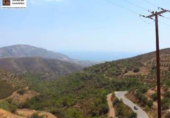 461085-Vorschaubild2