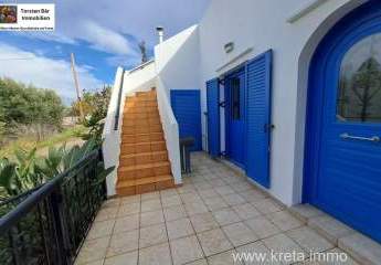 473115-Vorschaubild3