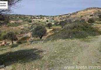 479936-Vorschaubild4