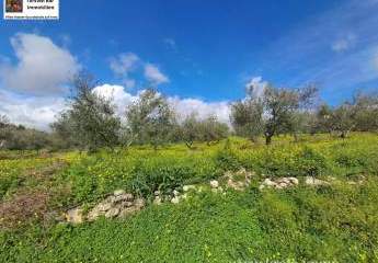 481556-Vorschaubild3