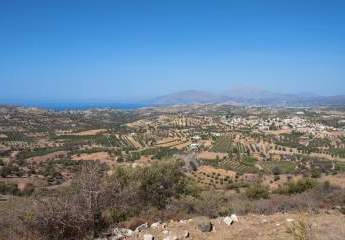 461028-Vorschaubild3