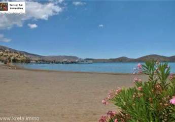 461030-Vorschaubild2