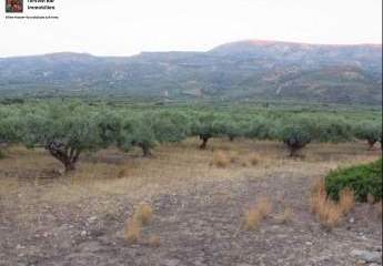 461033-Vorschaubild3